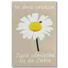 Trend, kartka okolicznościowa, Urodziny