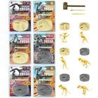 Trifox, dinozaury, wykopaliska, 1 szt.