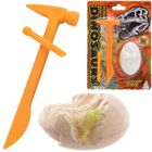 Trifox, jajko dinozaura, wykopaliska, 1 szt.