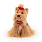 Trudi, Pies Yorkshire Terier, maskotka, S