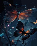 Twoje Hobby, malowanie po numerach, czarne płótno, Nocne Motyle, 40-50 cm