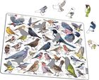 Układanka Garden Birds. Ptaki ogrodowe polne maxi