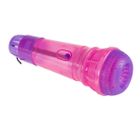 Value Toys, mikrofon Echo