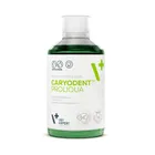 Vetexpert, Caryodent Proliqua, płynny dodatek do wody pitnej, 250 ml