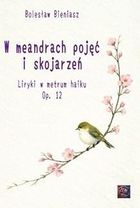 W meandrach pojęć i skojarzeń
