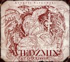 Wiedźmin. Czas pogardy. Tom 4. Audiobook CD