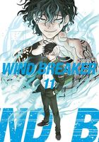 Wind Breaker. Tom 11