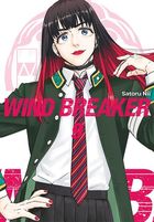 Wind Breaker. Tom 9