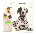 W&K, torebka prezentowa, rozmiar L, 1 szt.