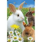 Worth Keeping, mini kartka, Królik