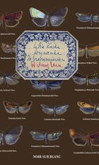 Wycieczka do Szerszeniowiec. W stronę Leca