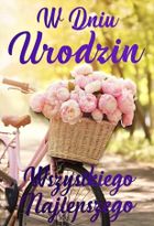 YEKU, karnet, Urodziny damskie rower