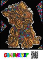 Yorkshire Terrier. Kolorowanka welwetowa 47-35 cm