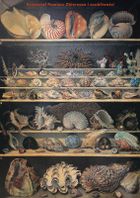 Zbieracze i osobliwości. Paryż-Wenecja XVI-XVIII wiek