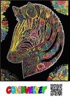 Zebra. Kolorowanka welwetowa, 47-35 cm