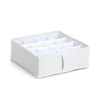 Zeller, organizer na bieliznę, Nomad, 16 przegródek, 30-30-11 cm