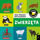 Zwierzęta. Moja pierwsza encyklopedia. Książka z okienkami