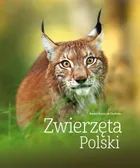 Zwierzęta Polski