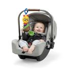 Baby Einstein, Cal-a-Puller, zabawka sensoryczna z zawieszką