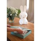 Beaba, First Meals 3w1, zestaw prezentowy: talerzyk + zestaw sztućców + śliniak, savannah bloom