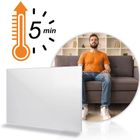 Berdsen, grzejnik na podczerwień, promiennik podczerwieni, 800W, BD-986