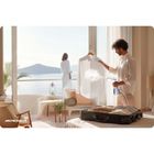 Berdsen, parownica do ubrań, 1500W, BD-310