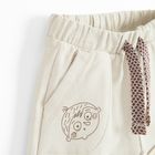 Cool Club, Komplet chłopięcy, T-shirt, Szorty, mix, Pucio