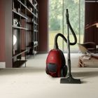 Electrolux, Pure, odkurzacz, D8 Pd82-anima