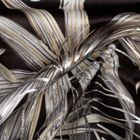 Eurofirany, zasłona zaciemniająca gotowa, na taśmie, 140-270 cm, czarny