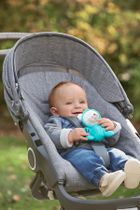 Fisher-Price, Gwiezdny projektor-uspokajacz 2w1
