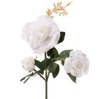 Gardlov, lampa solarna, róża