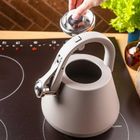 Klausberg, czajnik stalowy z gwizdkiem, szary, 2,5l, kb-7949