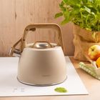 Klausberg, czajnik z gwizdkiem, stalowy, 2,5l, KB-7917