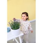 Lassig, Tiny Team, zestaw śliniaków z długim rękawem, kotek, 6m+