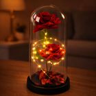 Lean Toys, 2 wieczne róże w kopule, z oświetleniem LED