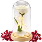 Lean Toys, wieczna róża w kopule, z oświetleniem LED