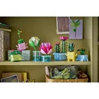 LEGO Botanicals, Lilie wodne, 11511