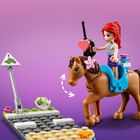 LEGO Friends, Klinika weterynaryjna w Heartlake City, 41446
