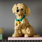 LEGO Icons, Szczeniak golden retriever, 11384