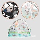 Lionelo, Anika, mata edukacyjna, natural