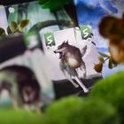 Muduko, Samotne Wilki, Pojedynek, gra karciana