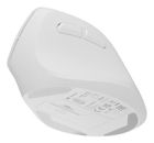 Natec, mysz bezprzewodowa, wertykalna, Crake 2, BT 5.2 + 2.4GHz, biała