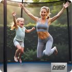 Neo-Sport, trampolina ogrodowa z siatką zewnętrzną i drabinką, 10ft/312 cm