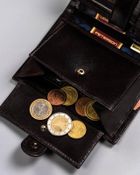 Portfel, ciemnobrązowy, skórzany, Peterson