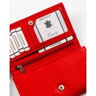 Portfel, czerwony, skórzany, Rovicky