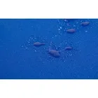 Trizand, mata plażowa z oparciem + poduszka