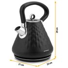 Berdsen, czajnik elektryczny, czarny, 1.7l, BD-700