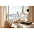 Berdsen, parownica do ubrań, 1600W, steamer, BD-311