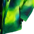 Cool Club, Wodoszczelna kurtka narciarska chłopięca z kapturem, ocieplana, zielona