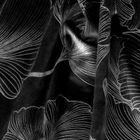 Eurofirany, zasłona zaciemniająca gotowa, na taśmie, Stella, 140-300 cm, czarny